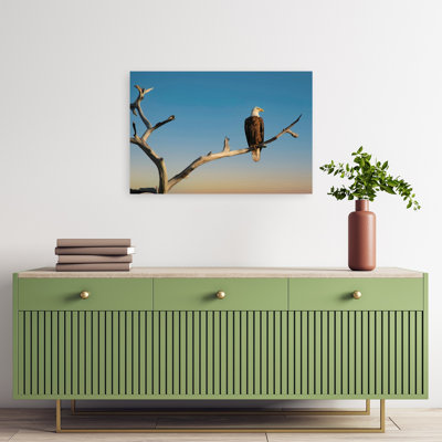 Vigilant Eagle Realistic Rustic Contemporary Bird Eagle Landscape Nature Wall Art