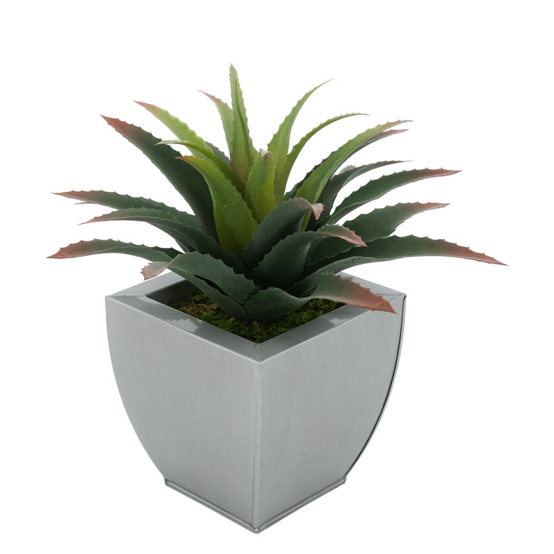 Plante grasse artificielle de 7 po en pot, Argent