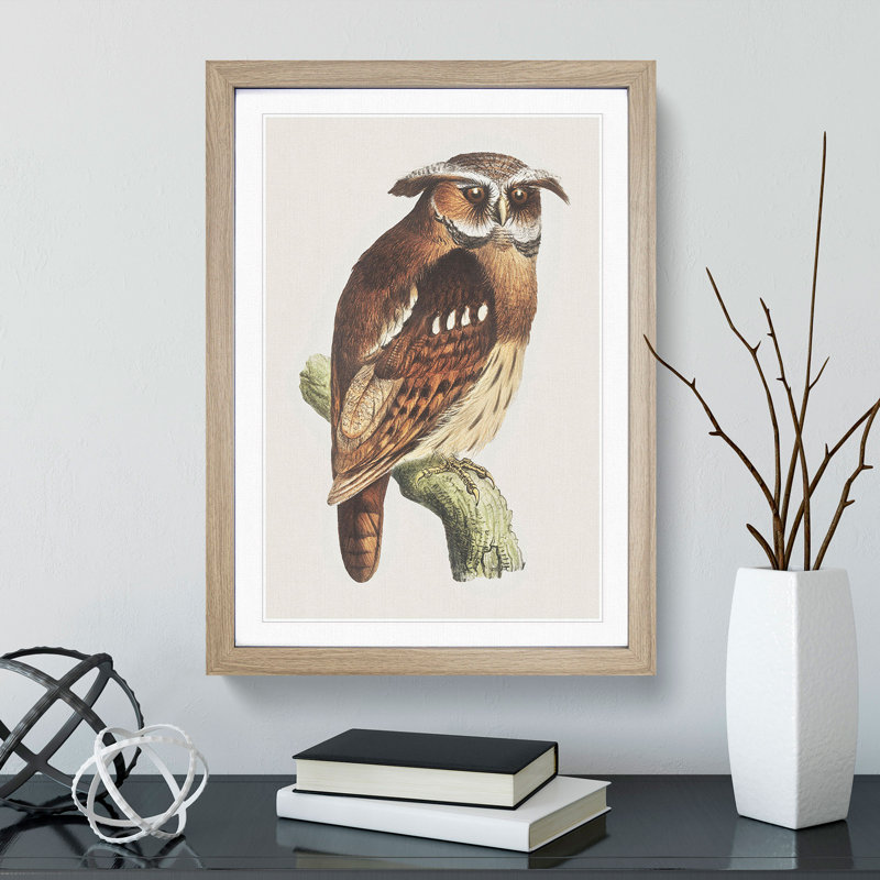Owl on a Branch by Theo Van Hoytema - Framed Print, 65cm H x 48cm W x 2cm D, Oak Framed
