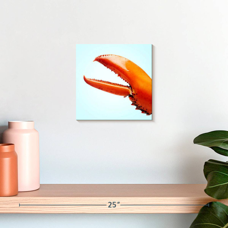 Griffe de homard rouge Brampt, H 10 pi x l 10 pi