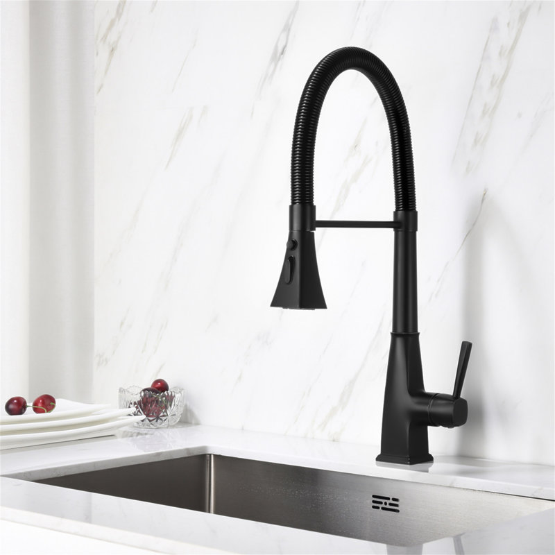 Robinet de cuisine avec douchette extractible