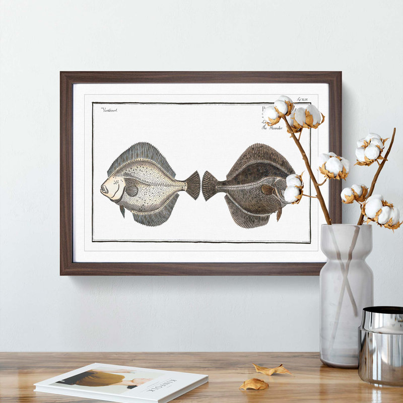 Flounder Fish by M.E. Bloch - Framed Print, 36cm H x 48cm W x 2cm D, Walnut Framed