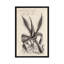 «Thornton Succulents III», reproduction d'art sur toile-20851018-73076114-73076115