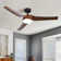 52" Smart Ceiling Fan with Dimmable LED Light and Remote Control