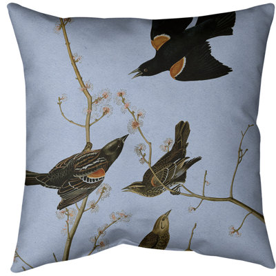 Coussin starling rouge à voilure rouge