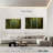 Harnek Mossy Trees-107934995