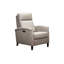 Haskell Recliner-1870401806