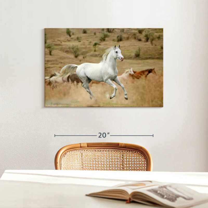 Prized White Stallion, 16" H x 24" W