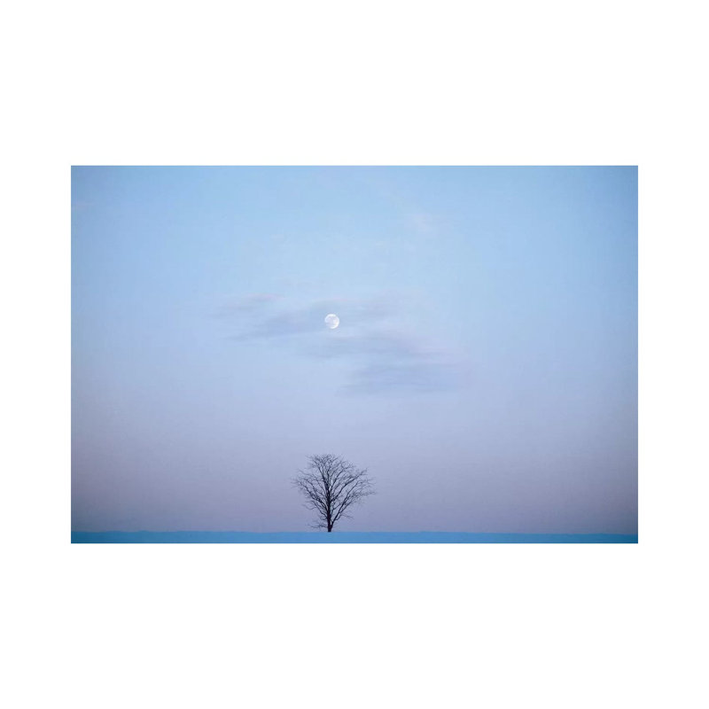 Single Tree In Winter Landscape Evening Moon by Vintage Images - Wrapped Canvas Print, 66.04 cm H x 45.72 cm W x 3.175 cm D