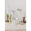 7 oz. Heirloom Swirl Verre cosmos