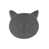 Gris anthracite sélectionné