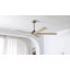 Ventilateur de plafond 60 pales 5 pales en bois massif avec silencieux et minuterie à 6 vitesses avec télécommande-1338152053-1338152054