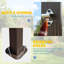 Toit arqué 8 x 5 pi-112831268-112831269