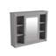 35'' x 28'' Wall Mounted Bathroom Storage Cabinet, Medicine Cabinet, Bathroom Wall Cabinet with Mirror-1678390656