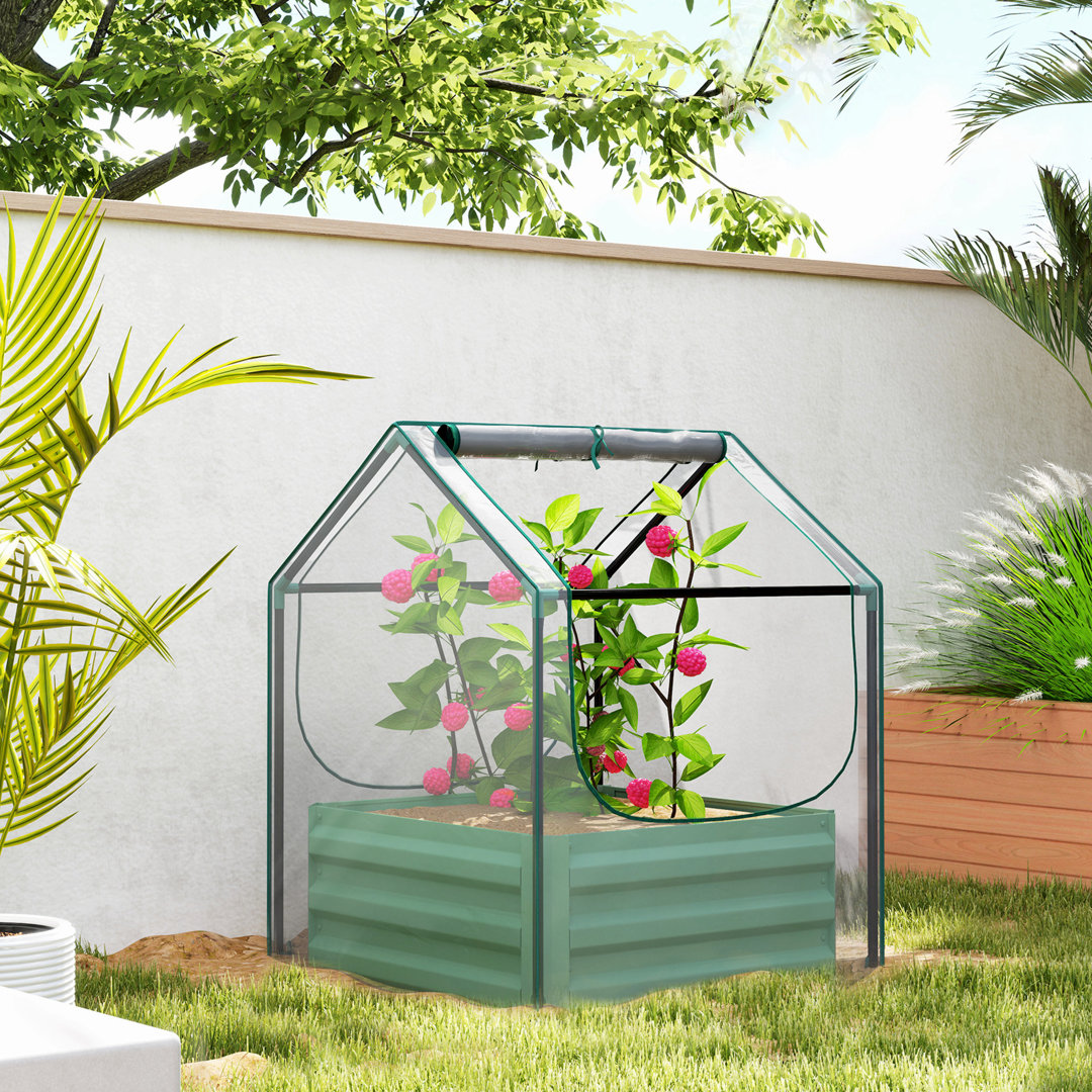 Mini Greenhouse