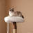 33" Shou Sugi Ban Cat Tree, Modern Cat Tower with Sisal Scratching Posts, Plush Perch, Black and Gold Pet Furniture for Indoor Cats