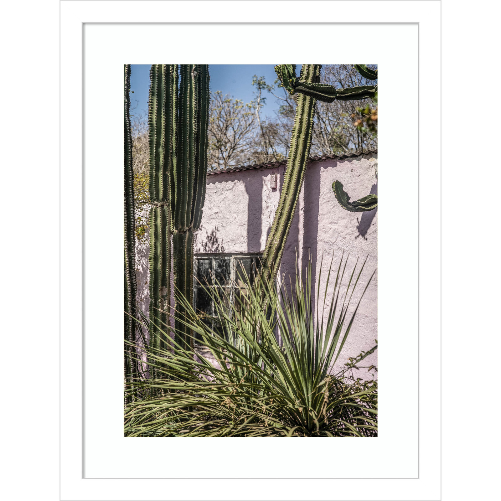 Daisey "Plants on Pink" Print, White, 17" H x 13" W