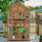 3.73' W x 1.98' D Wooden Greenhouse with Openable Roof Vent and Adjustable Shelves