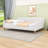 Queen Upholstered Daybed with Support Legs-383548260