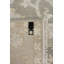 Oriental Area Rug in Light Green