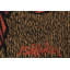 Cotton and Wool Area Rug
