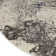 Westford Abstract Area Rug