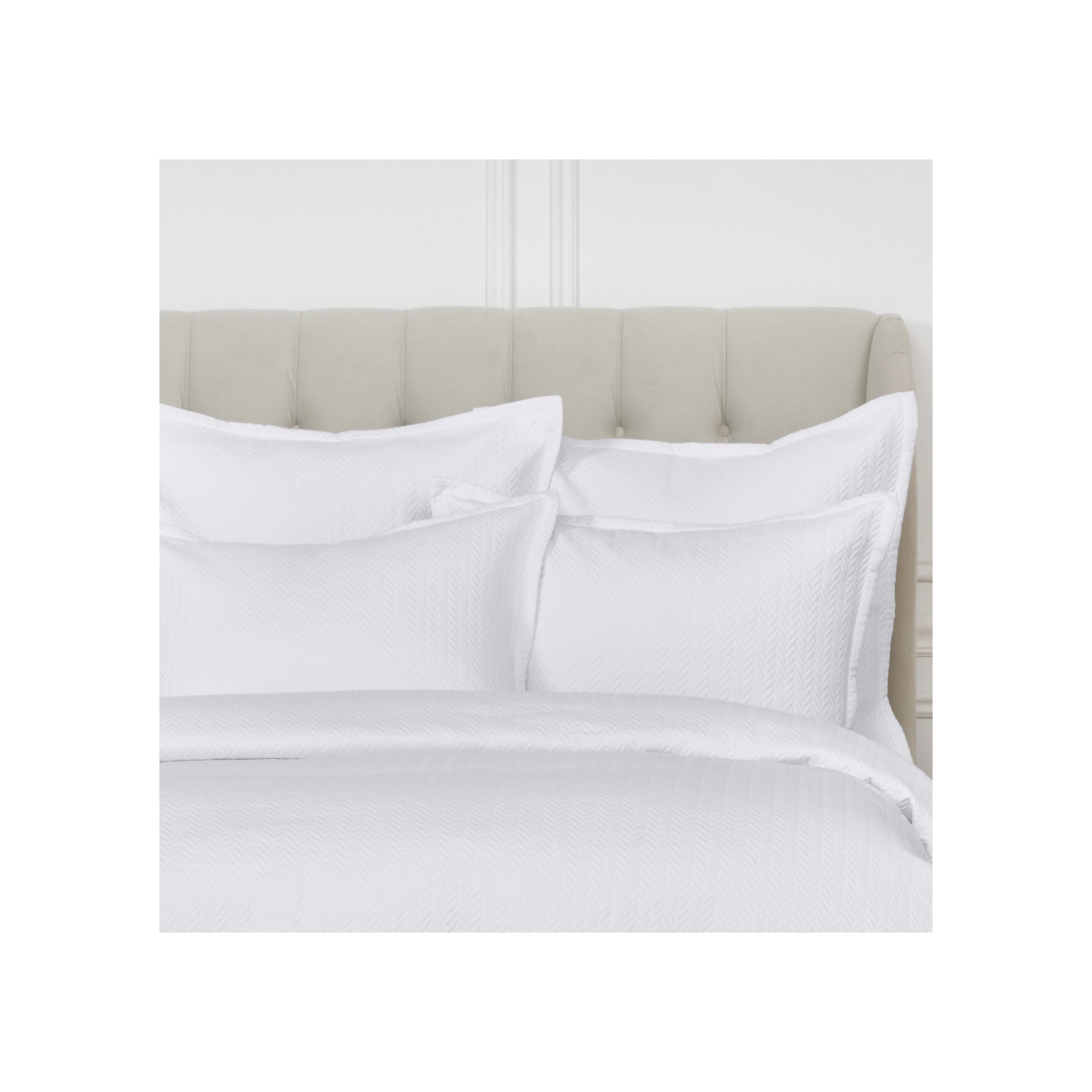 Verbeia 100% Cotton Ties Sham, Standard