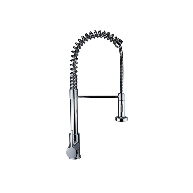 LITTLE TREE Pull Down Kitchen Faucet
