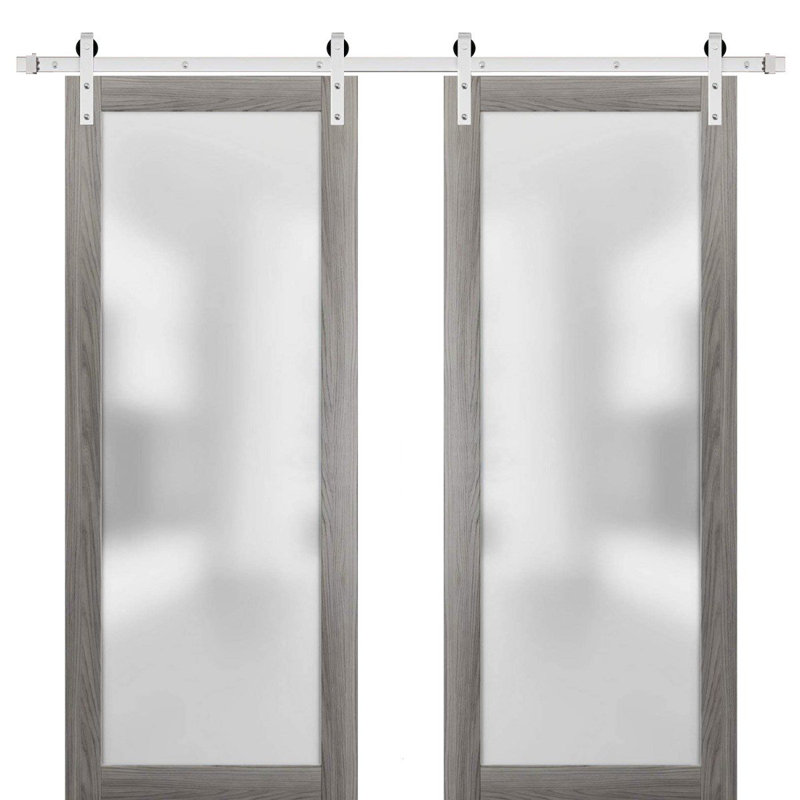 Porte de grange double robuste avec verre givré | Planum 2102 | Ensemble de cintres en métal argentés 13 pi | Portes intérieures modernes à panneau massif - Rail argenté