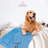 Personalized Dogs-Cats Blanket Custom Name & Paws-85515442-86380119-87231498