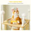Tour pour chat 42,5 po-117068867-117068870