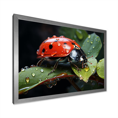 Curious Ladybug Crimson Serenity II