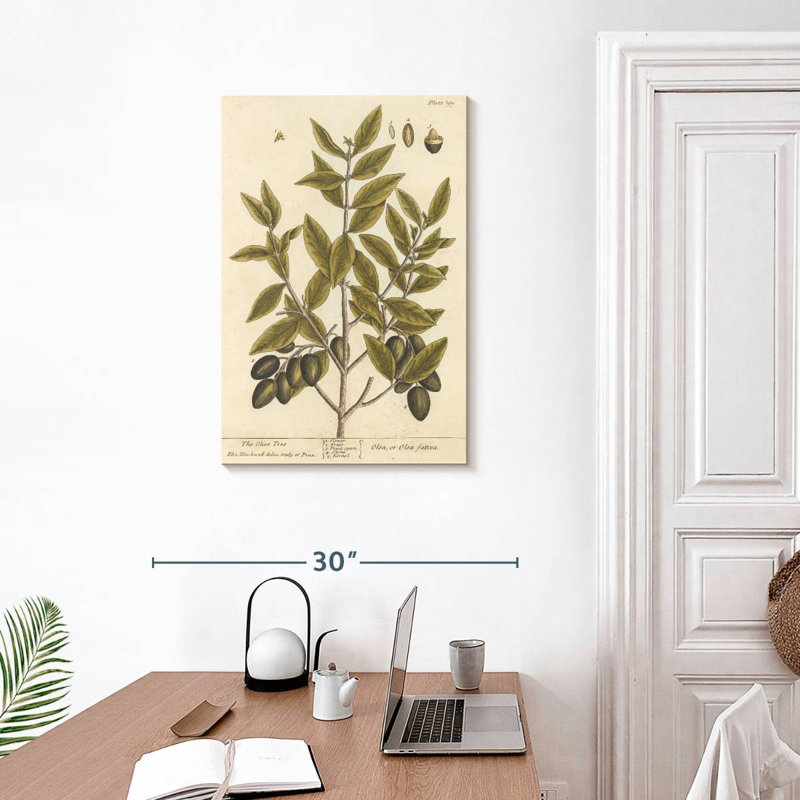Keiri Olive Branch II, 30" H x 20" W