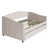 Beige is out of stock selected