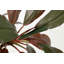 110cm Faux Banana Leaf Plant in Pot