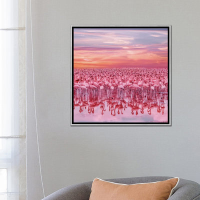 «Flamingo? S Sunset» par Hobopeeba - reproduction d'art
