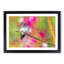Hummingbird - Framed Print-55579140-55579141