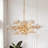 8- Light Modern Crystal Chandelier
