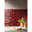 Connoisseur magenta brillant 3 x 10-122251717