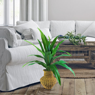 36'' Faux Dracaena Plant in Wicker/Rattan Basket