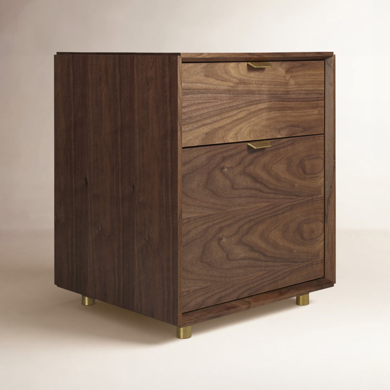 Dang 18.3'' Wide 2 -Drawer File Cabinet, Walnut