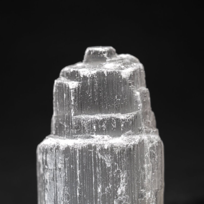 Cloche Or Water Globe