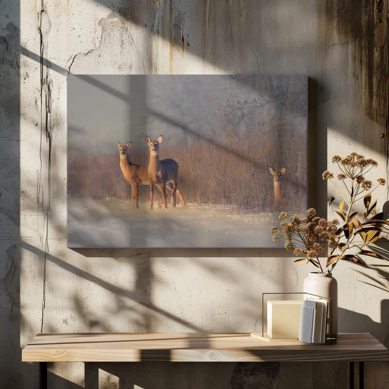 Wrapped Canvas Print, 50.8cm H x 76.2cm W