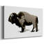 Toile tendue monochrome Bison II-Gallery-1299499796