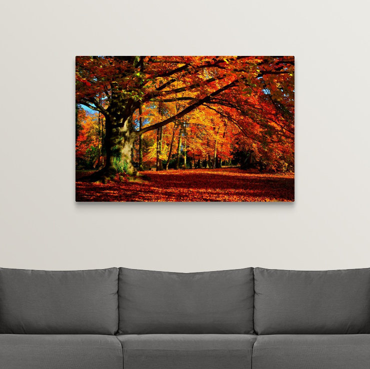 « the tree », reproduction de photo sur toile, H 32 po x l 48 po x P 1,5 po