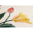 Rifle Paper Co. x Loloi Tulips Pillow-93605868