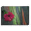 «Hibiscus» par Dennis Frates-154602957