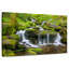 Cascade Alvord Mossy
