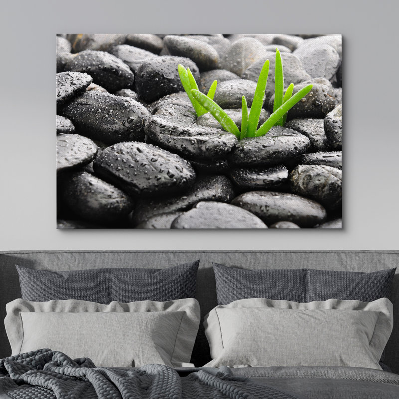 «Zen Stones Rain Drops over Black Rocks and Little Green Plants», reproduction de photo sur toile tendue