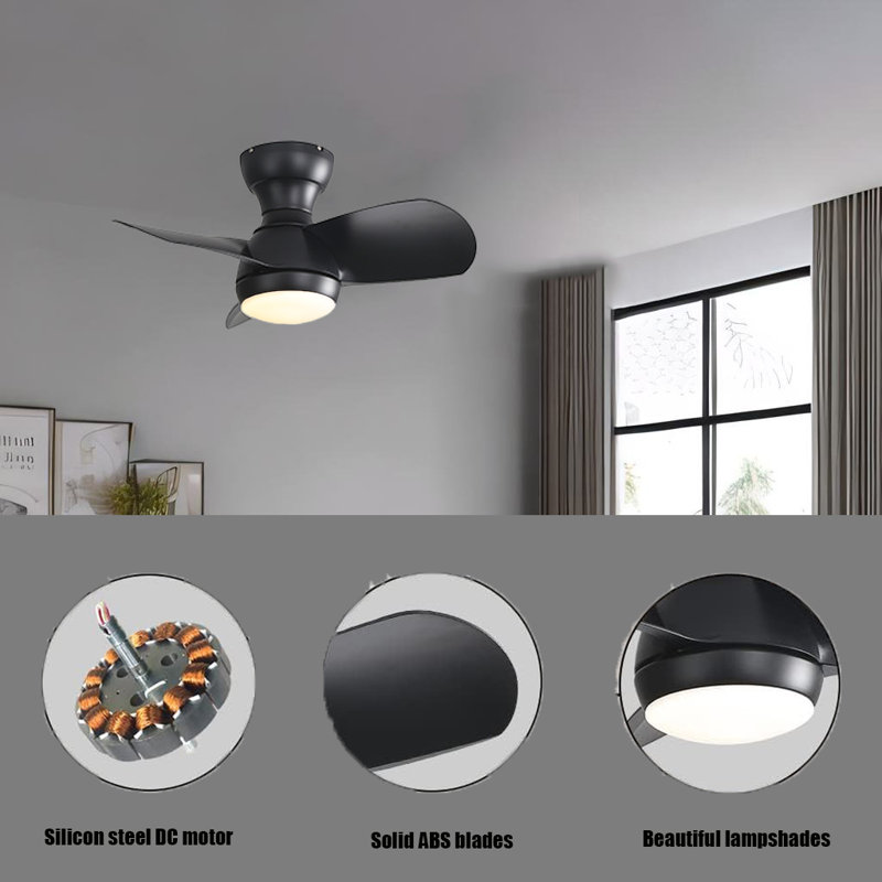 Kathen 23'' Ceiling Fan with LED Lights, Black